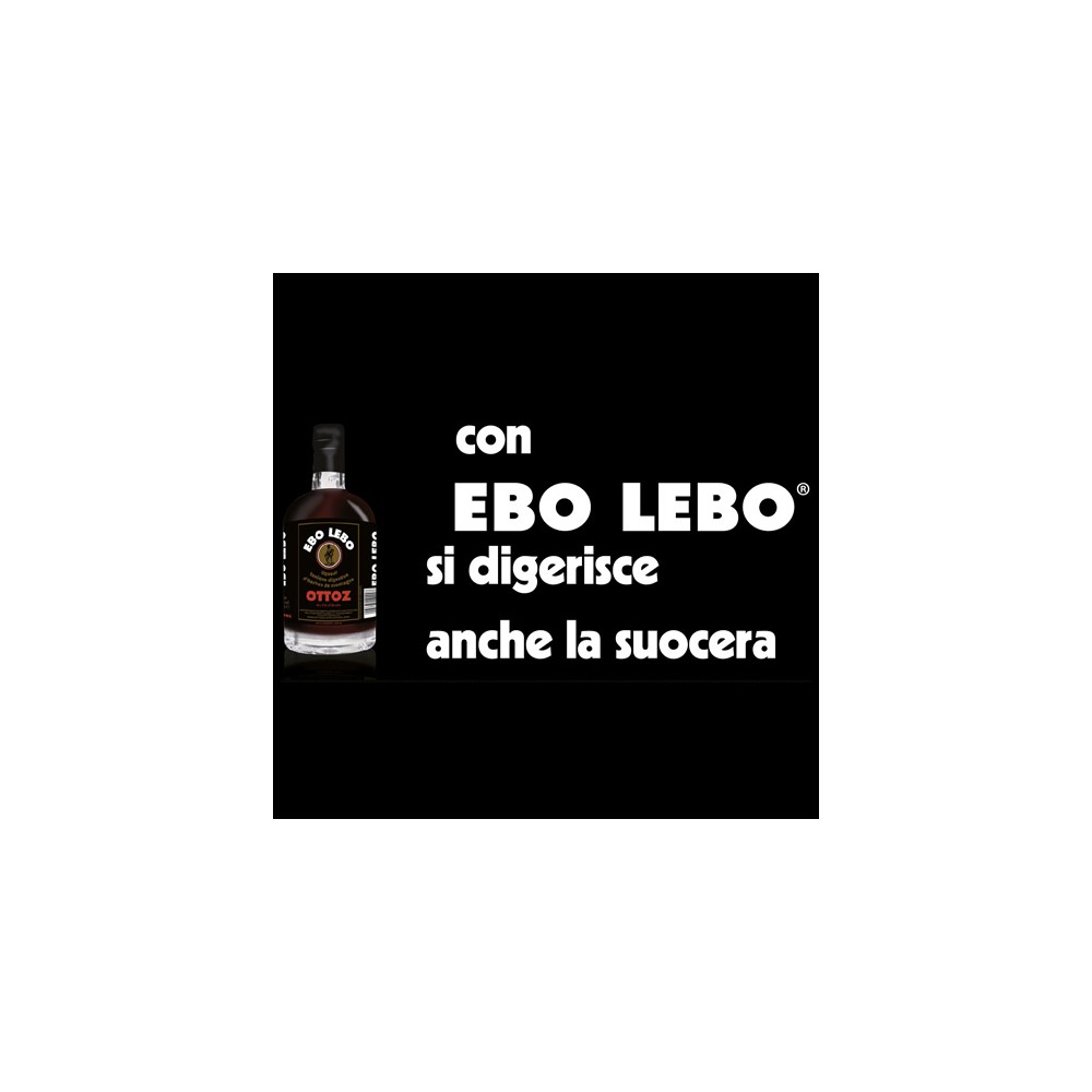 Amari Valdostani Ebo Lebo + Amaro Aosta - 20cl - Gradazione alcolica 36 % Vol