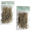 Seedlings of genepy Val...