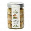 FUNGHI PORCINI INTERI 310 G