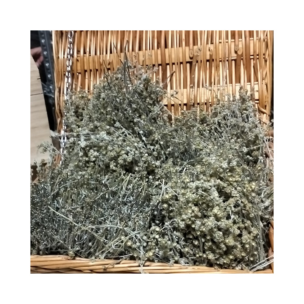 Plants de génépi Val D'Ayas 2 sachets de 10gr