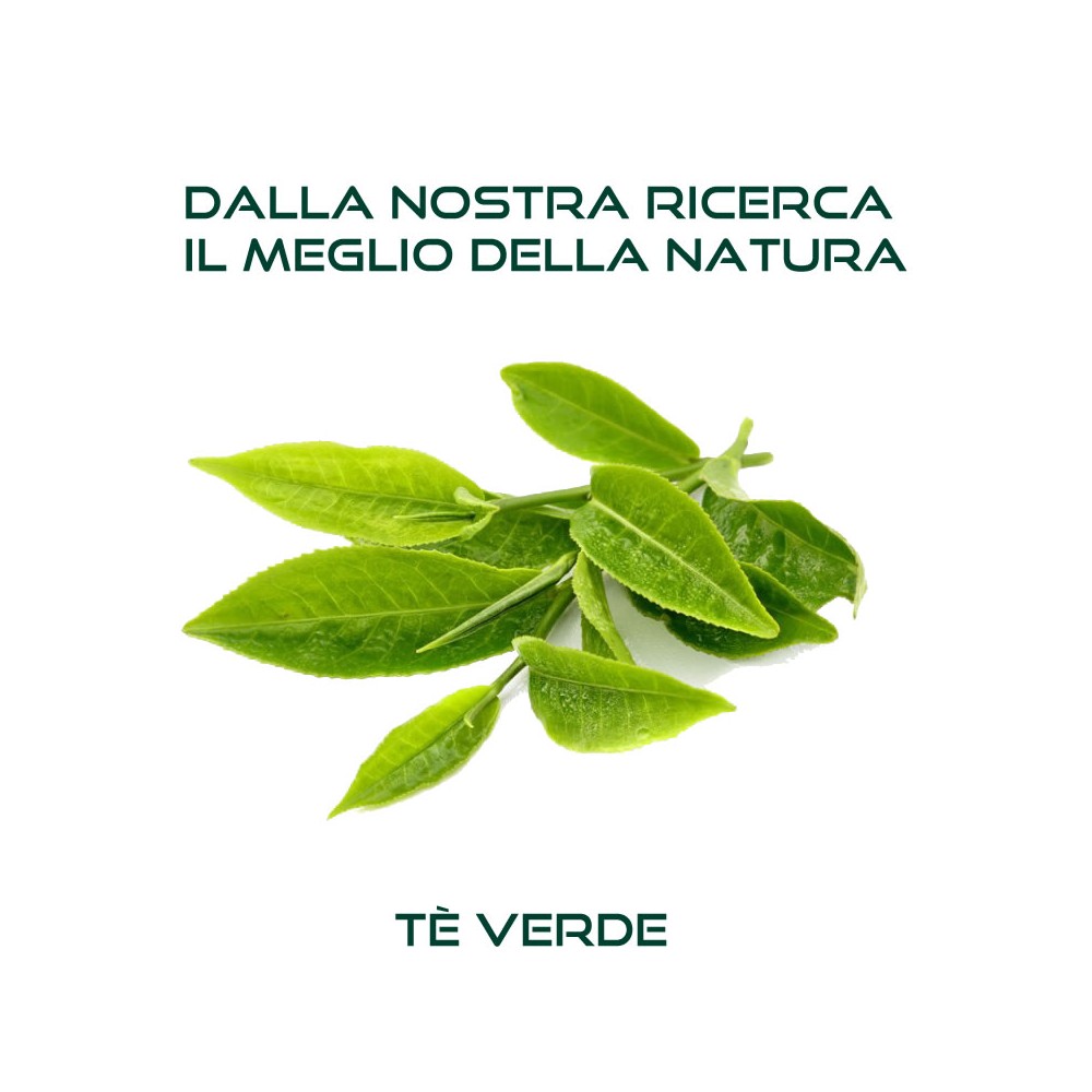 Shampoo Organic 100ml