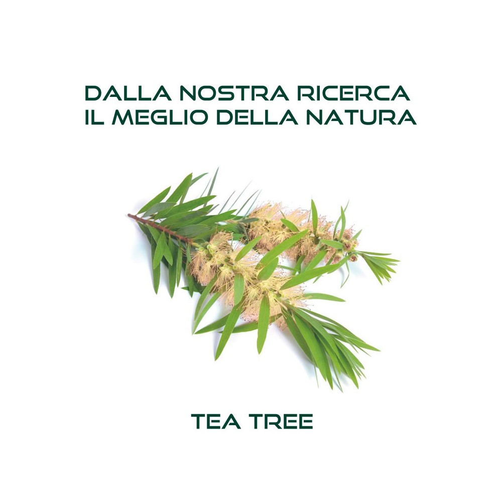 Box regalo TEA TREE hair lotion,  shampoo, termo protettore spray