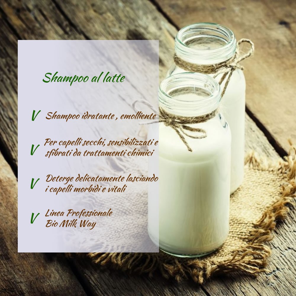 Shampoing au lait 1 lt
