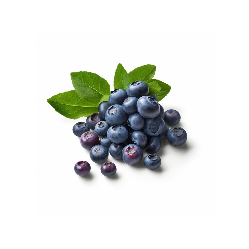 VINAIGRE DE MYRTILLES  250ml