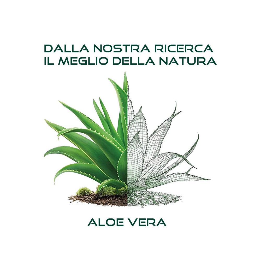 L'Aloè Spray ecologico- no gas  Aloe e Te Verde 100ml