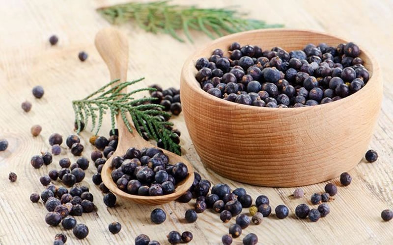 Fat pretium urna tortor metus fringilla